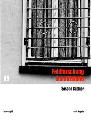 cover image of Feldforschung Schnittstelle